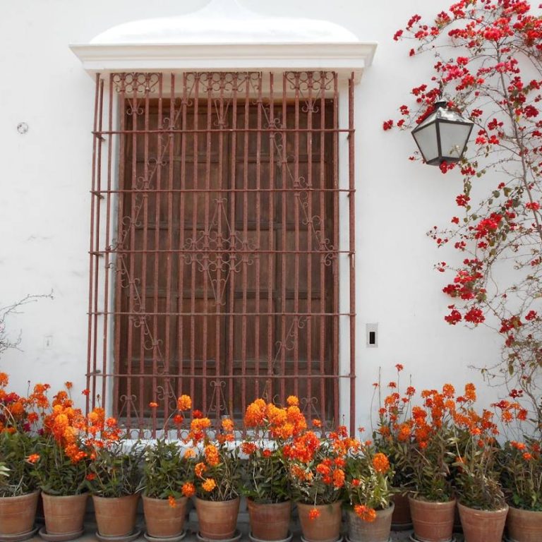 vorstschade bloempotten voorkomen